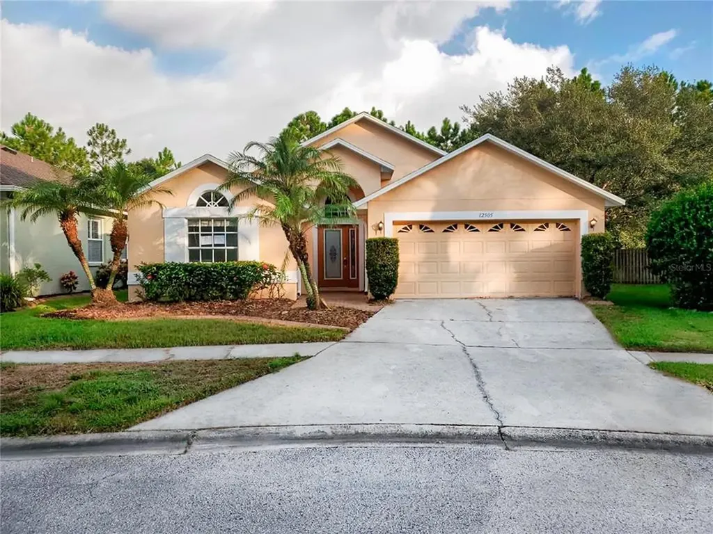 12505 Blazing Star Drive Tampa FL 33626