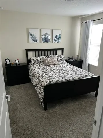 11031 Vignette Alley Winter Garden FL 34787