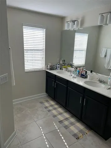 11031 Vignette Alley Winter Garden FL 34787