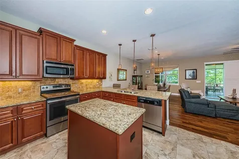 1306 Ribolla Drive Palm Harbor FL 34683