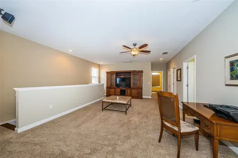 1306 Ribolla Drive Palm Harbor FL 34683