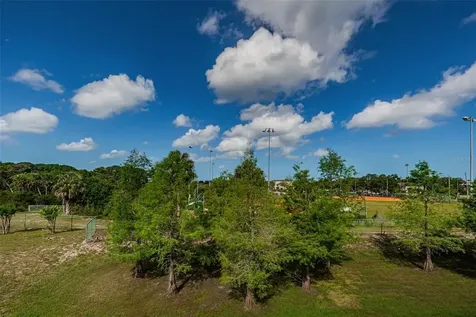1306 Ribolla Drive Palm Harbor FL 34683