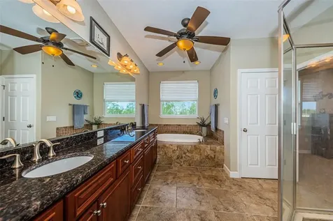 1306 Ribolla Drive Palm Harbor FL 34683