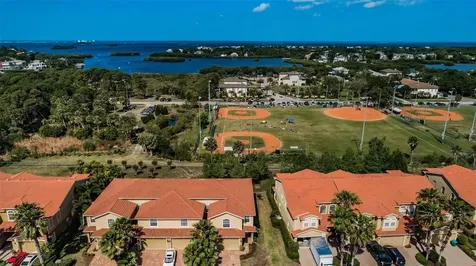 1306 Ribolla Drive Palm Harbor FL 34683