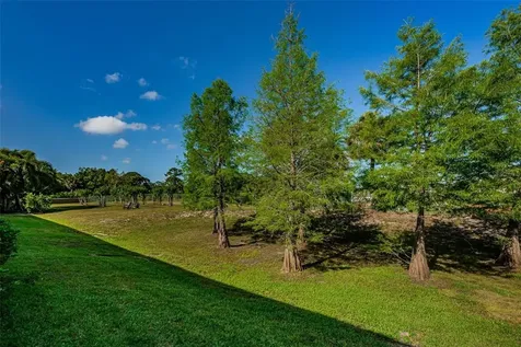 1306 Ribolla Drive Palm Harbor FL 34683