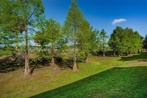 1306 Ribolla Drive Palm Harbor FL 34683