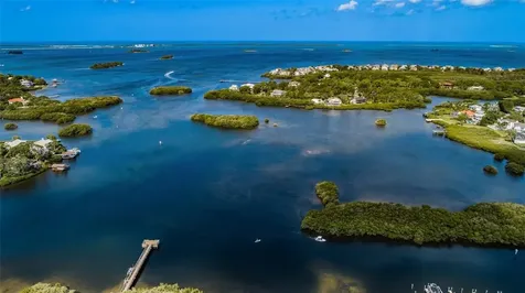 1306 Ribolla Drive Palm Harbor FL 34683