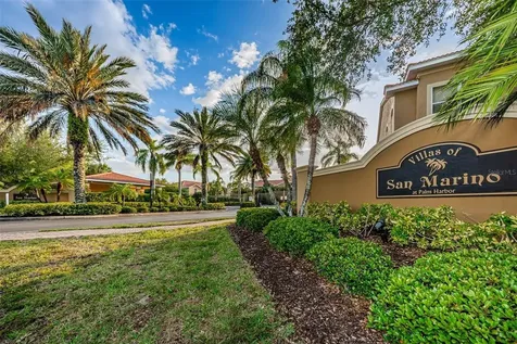1306 Ribolla Drive Palm Harbor FL 34683