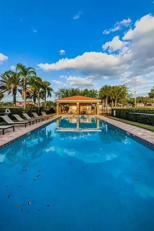 1306 Ribolla Drive Palm Harbor FL 34683