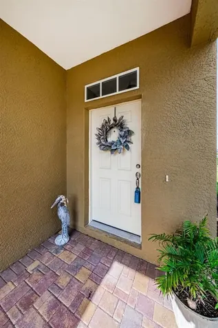 1306 Ribolla Drive Palm Harbor FL 34683