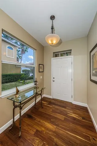 1306 Ribolla Drive Palm Harbor FL 34683