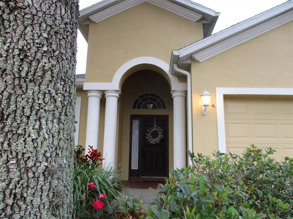 10626 Ribbon Fern Way Land O Lakes FL 34638