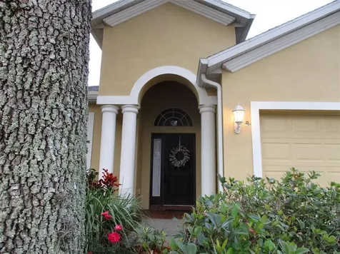10626 Ribbon Fern Way Land O Lakes FL 34638