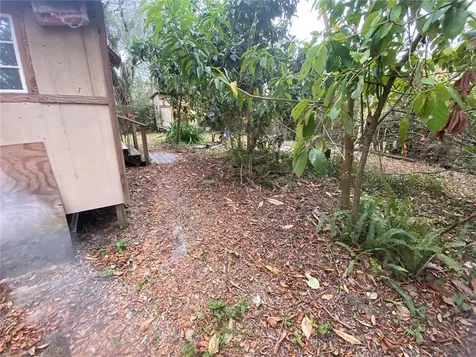 6208 N 44th Street Tampa FL 33610