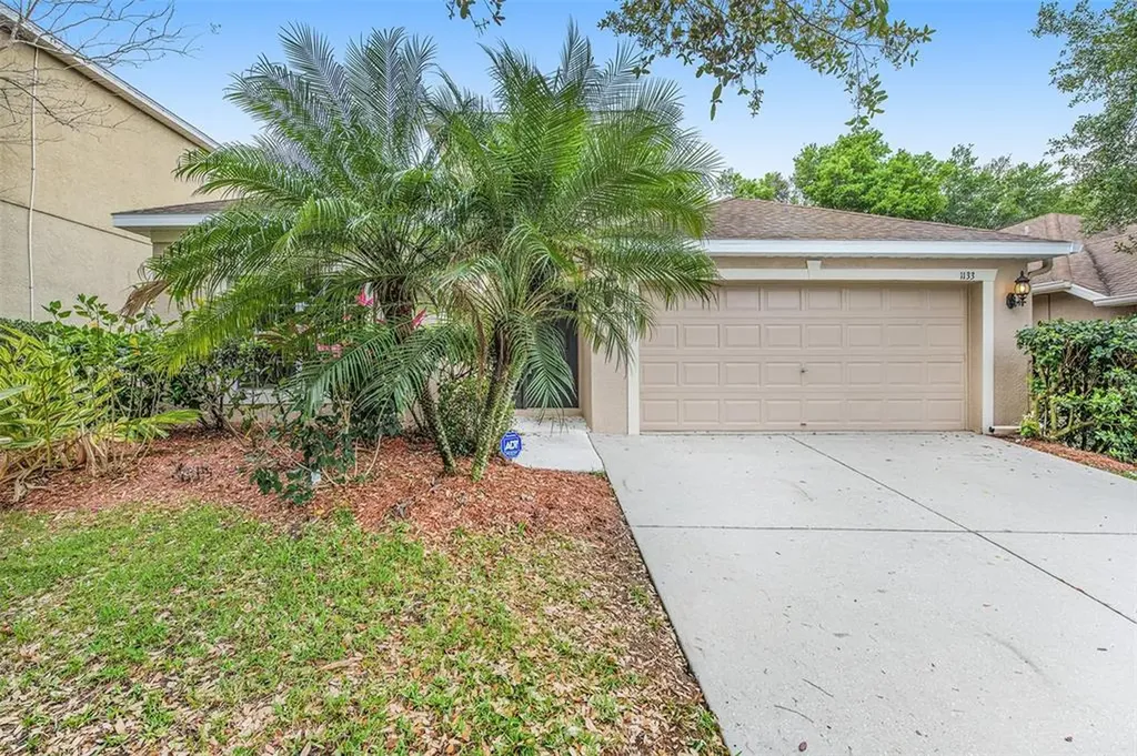 1133 Emerald Hill Way Valrico FL 33594