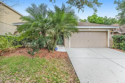 1133 Emerald Hill Way Valrico FL 33594