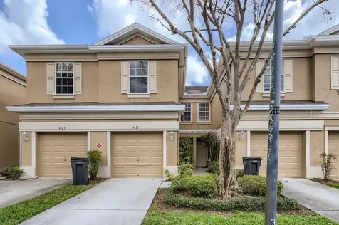 4121 Bismarck Palm Drive Tampa FL 33610