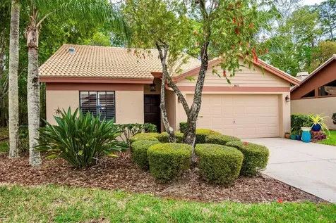 3612 Darston Street Palm Harbor FL 34685