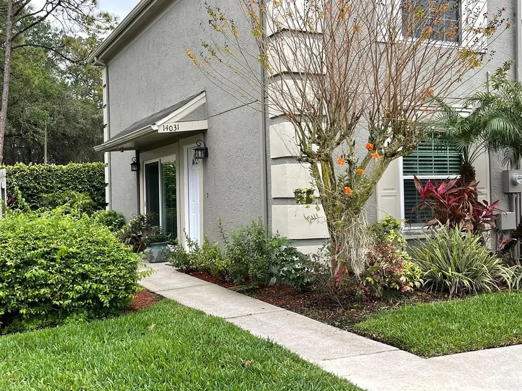 14031 Notreville Way Tampa FL 33624