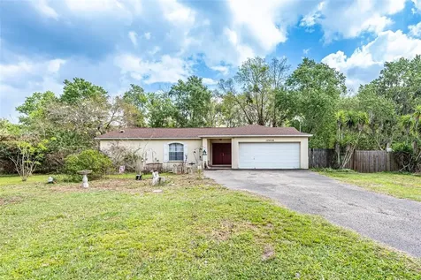 12406 Elnora Drive Riverview FL 33579