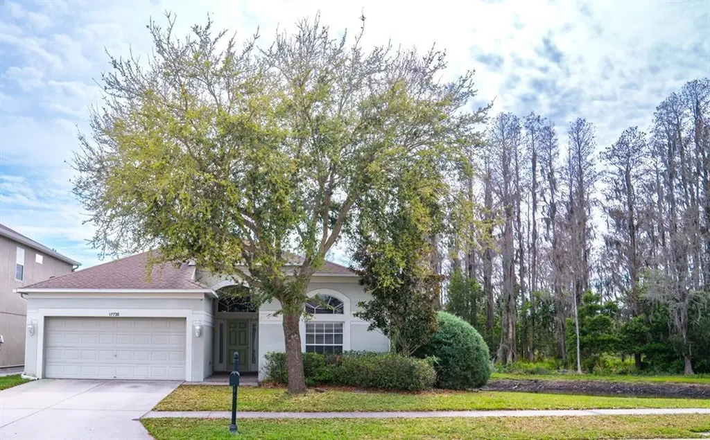 17730 Ayrshire Boulevard Land O Lakes FL 34638