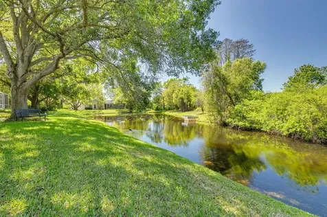 2015 Swan Lane Palm Harbor FL 34683