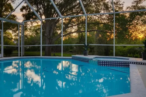 2015 Swan Lane Palm Harbor FL 34683
