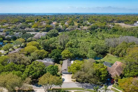 2015 Swan Lane Palm Harbor FL 34683