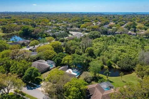 2015 Swan Lane Palm Harbor FL 34683