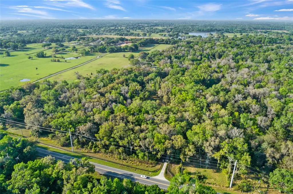6325 SE Highway 42 Summerfield FL 34491