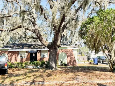 10009 N Ojus Drive Tampa FL 33617