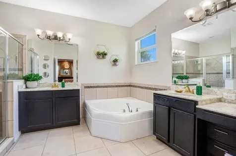 1241 Sharptank Court Apopka FL 32712