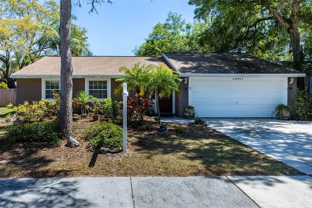 3041 Hanna Court Palm Harbor FL 34684