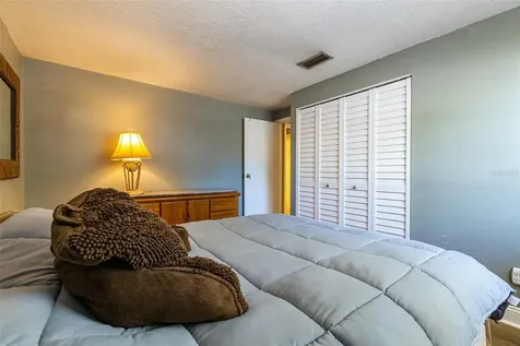 3041 Hanna Court Palm Harbor FL 34684