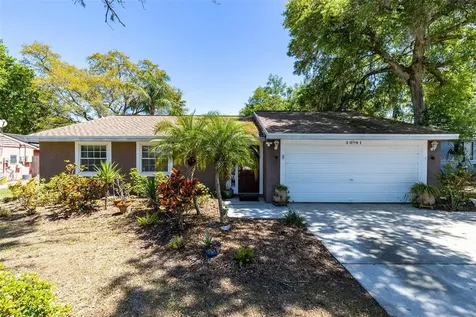 3041 Hanna Court Palm Harbor FL 34684