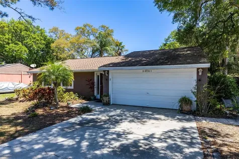 3041 Hanna Court Palm Harbor FL 34684