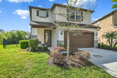 6332 Yellow Buckeye Drive Riverview FL 33578
