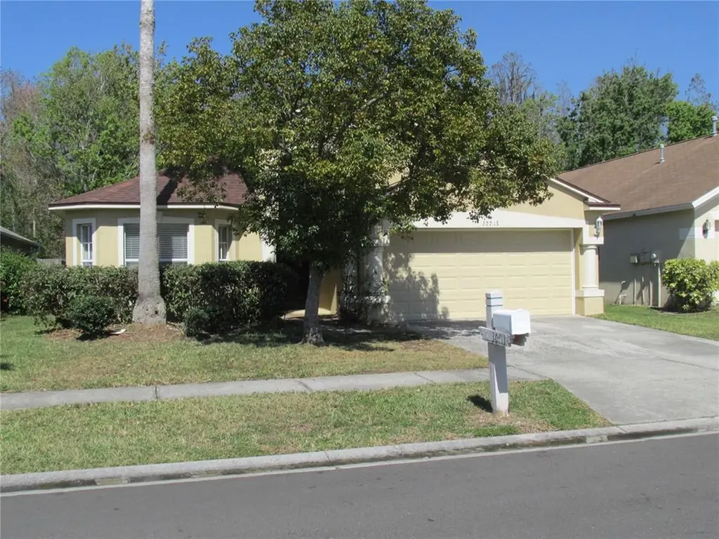30713 Tremont Drive Wesley Chapel FL 33543