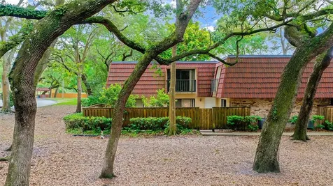 687 1st Court Palm Harbor FL 34684