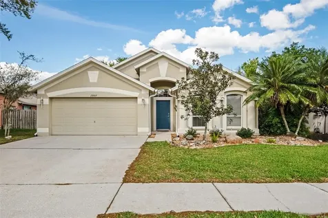 19707 Ellendale Drive Land O Lakes FL 34638