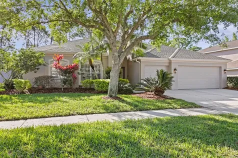 10421 Greenhedges Drive Tampa FL 33626