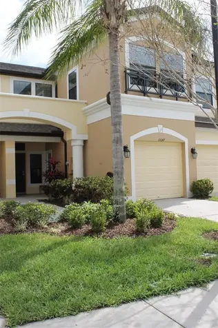 11647 Crowned Sparrow Lane Tampa FL 33626