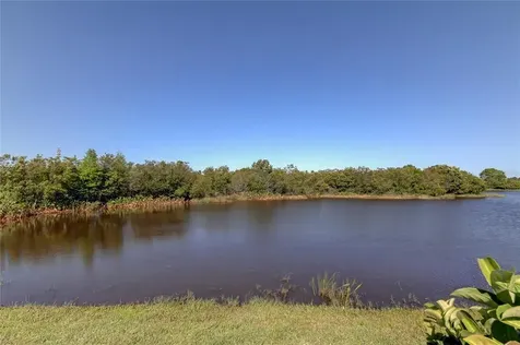 12327 Ballentrae Forest Drive Riverview FL 33579