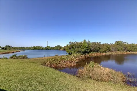 12327 Ballentrae Forest Drive Riverview FL 33579