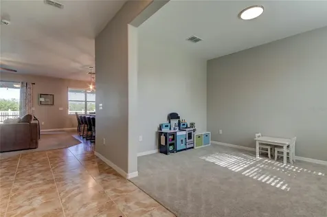 12327 Ballentrae Forest Drive Riverview FL 33579