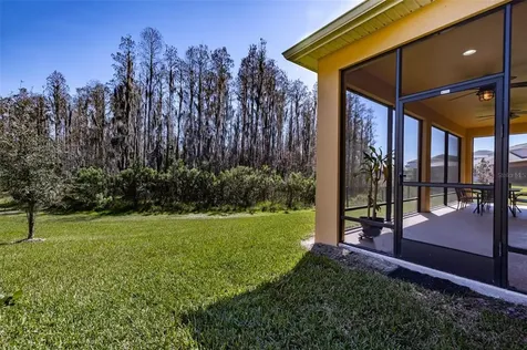 4498 Casella Drive Wesley Chapel FL 33543