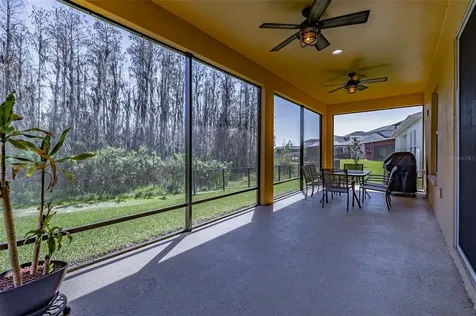 4498 Casella Drive Wesley Chapel FL 33543