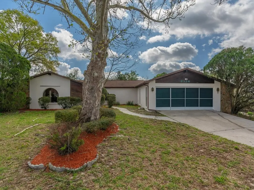 2326 Dressel Avenue Spring Hill FL 34609