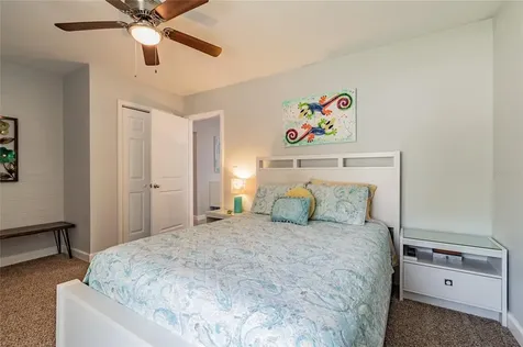 802 Scotland Street Dunedin FL 34698