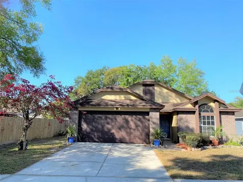 1815 Sawhorse Court Lutz FL 33559